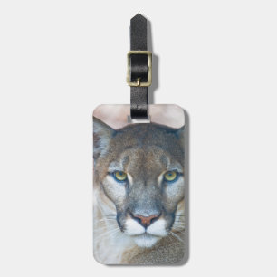 Puma, Berglöwe, Florida-Panther, Puma 2 Gepäckanhänger