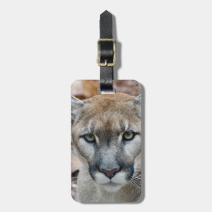 Puma, Berglöwe, Florida-Panther, Puma Gepäckanhänger
