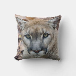 Puma, Berglöwe, Florida-Panther, Puma Kissen
