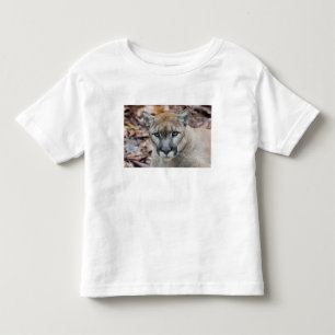 Puma, Berglöwe, Florida-Panther, Puma Kleinkind T-shirt