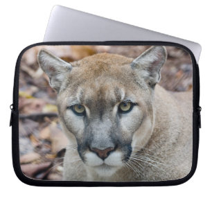 Puma, Berglöwe, Florida-Panther, Puma Laptopschutzhülle