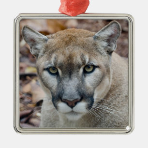 Puma, Berglöwe, Florida-Panther, Puma Silbernes Ornament