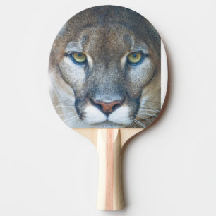 Puma, Berglöwe, Florida-Panther, Puma Tischtennis Schläger