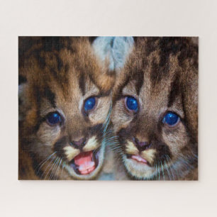 Puma Berglöwe. Puzzle