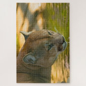Puma Berglöwe. Puzzle (Vertikal)