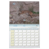 Puma Calendar Cougar Kalender (Jan 2027)
