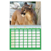 Puma Calendar Cougar Kalender (Mär 2027)