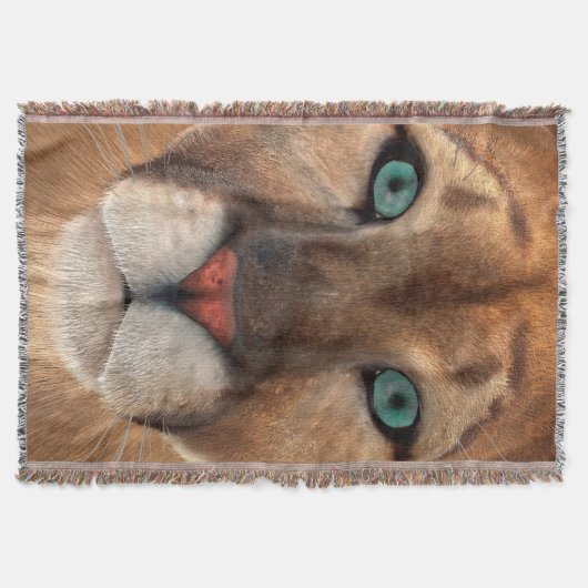 Puma Decke (Vorderseite)