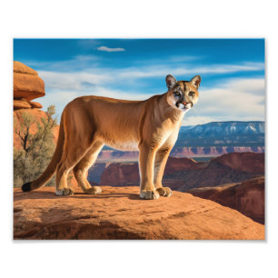 Puma-Fotoabzug Fotodruck