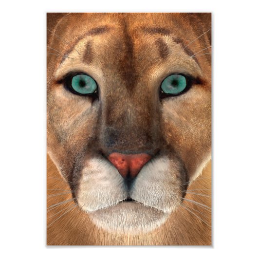 Puma Fotodruck (Vorne)