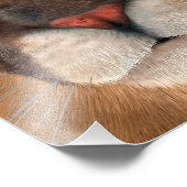 Puma Fotodruck (Ecke)