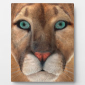 Puma Fotoplatte (Vorderseite)