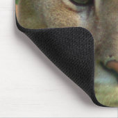 Puma-Gebirgskatzen-Mausunterlage Mousepad (Ecke)