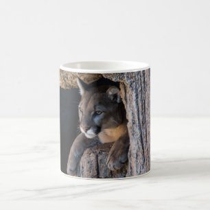 Puma in Höhle Kaffeetasse