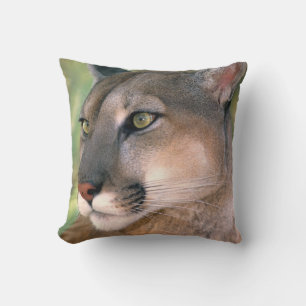Puma, Kalifornien Kissen