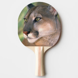 Puma, Kalifornien Tischtennis Schläger