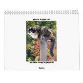 Puma-Katze, mein Supermodel-Kaliko II Kalender (Rückseite)