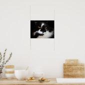 Puma Katze Poster (Küche)