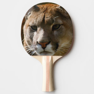 Puma-Katze Tischtennis Schläger