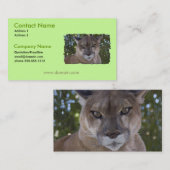 Puma-Katzen-Visitenkarte Visitenkarte (Vorne/Hinten)