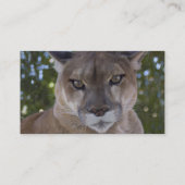 Puma-Katzen-Visitenkarte Visitenkarte (Rückseite)
