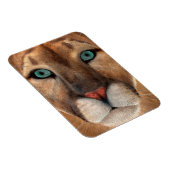 Puma Magnet (Rechte Seite)