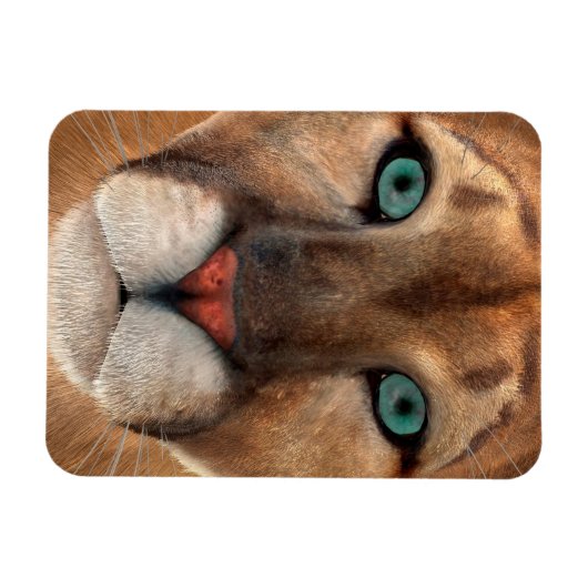 Puma Magnet (Horizontal)