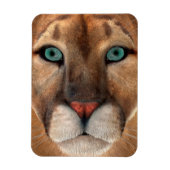 Puma Magnet (Vertikal)