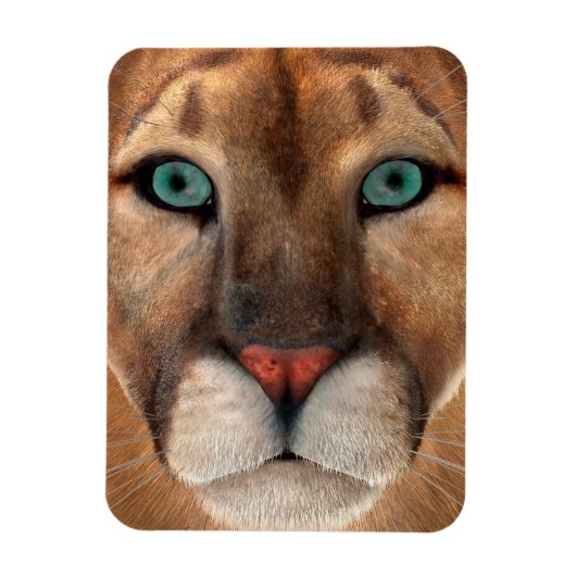 Puma Magnet (Vertikal)