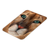 Puma Magnet (Linke Seite)