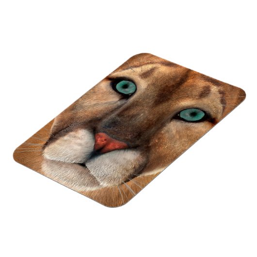 Puma Magnet (Linke Seite)