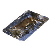 Puma Magnet (Linke Seite)