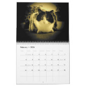 Puma, mein Kaliko, mein Supermodel Kalender (Feb 2026)