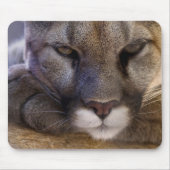 Puma Mousepad (Vorne)