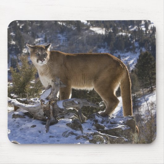 Puma Mousepad (Vorne)