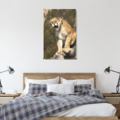 Puma oder Berglöwe, Puma concolor, Captive - Leinwanddruck (Insitu (Schlafzimmer))