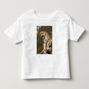 Puma oder Berglöwe, Puma concolor, in Gefangenscha Kleinkind T-shirt