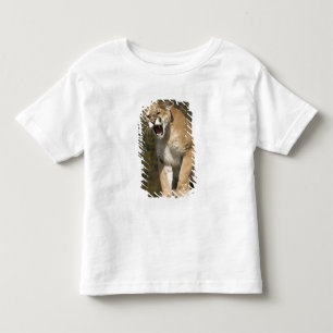 Puma oder Berglöwe, Puma concolor, in Gefangenscha Kleinkind T-shirt