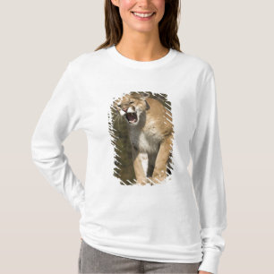 Puma oder Berglöwe, Puma concolor, in Gefangenscha T-Shirt