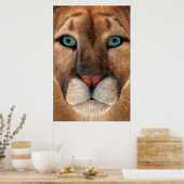 Puma Poster (Küche)