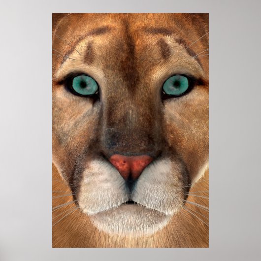 Puma Poster (Vorne)