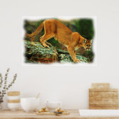 PUMA POSTER (Küche)