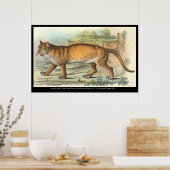 Puma Poster (Küche)