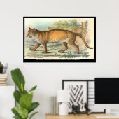 Puma Poster (Heimbüro)