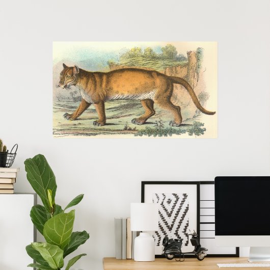 Puma Poster (Heimbüro)