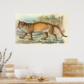 Puma Poster (Küche)