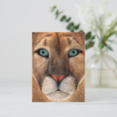 Puma Postkarte (Stehend Vorderseite)