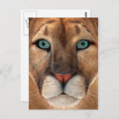 Puma Postkarte (Vorne/Hinten)