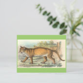 Puma Postkarte (Stehend Vorderseite)