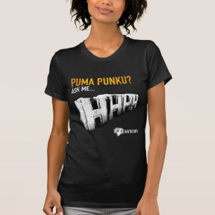 Puma Punku Tempel T-Shirt